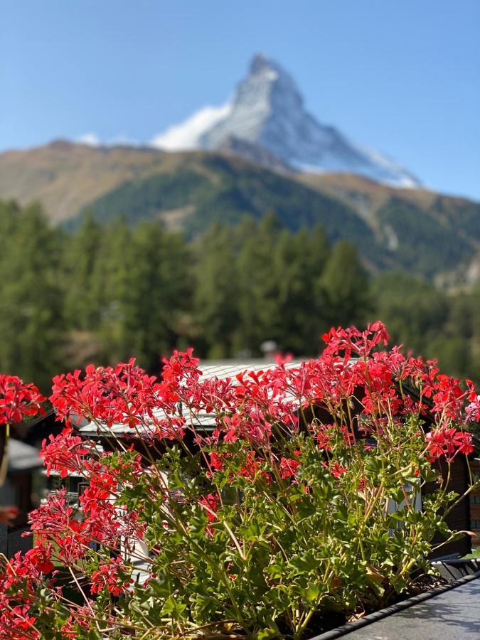Chalet Bull Zermatt Exteriér fotografie